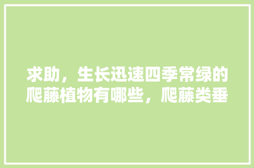求助，生长迅速四季常绿的爬藤植物有哪些，爬藤类垂直绿化植物种类有哪些。