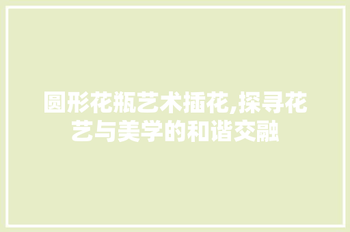 圆形花瓶艺术插花,探寻花艺与美学的和谐交融