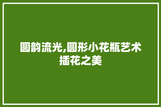 圆韵流光,圆形小花瓶艺术插花之美