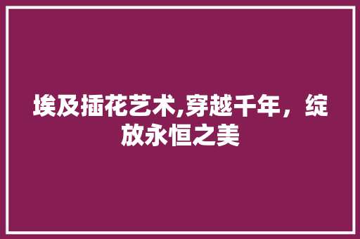 埃及插花艺术,穿越千年，绽放永恒之美