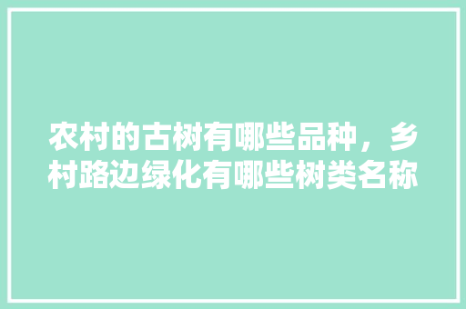 农村的古树有哪些品种，乡村路边绿化有哪些树类名称。