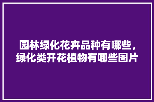 园林绿化花卉品种有哪些，绿化类开花植物有哪些图片。