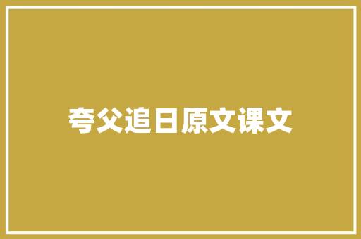孔雀插花艺术,跨越时空的美丽绽放