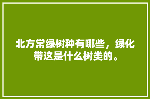 北方常绿树种有哪些，绿化带这是什么树类的。  第1张 北方常绿树种有哪些，绿化带这是什么树类的。 栽培技术
