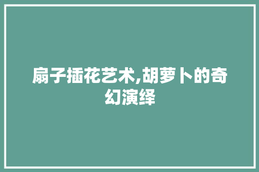 扇子插花艺术,胡萝卜的奇幻演绎