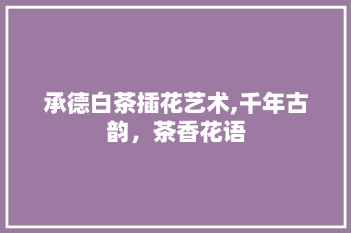 承德白茶插花艺术,千年古韵，茶香花语