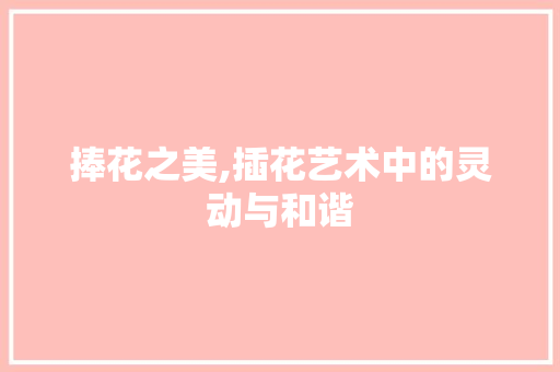 捧花之美,插花艺术中的灵动与和谐
