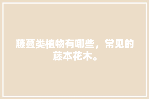 藤蔓类植物有哪些，常见的藤本花木。