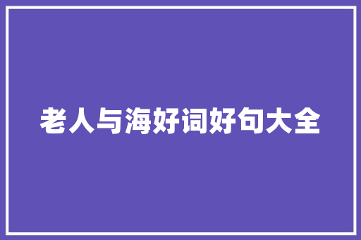 废胶桶变废为宝,创意插花艺术的环保之旅