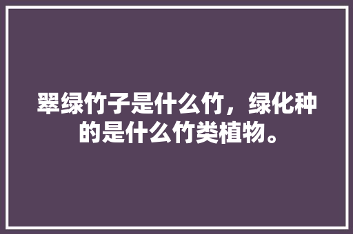 翠绿竹子是什么竹，绿化种的是什么竹类植物。
