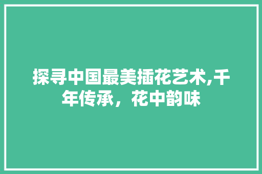 探寻中国最美插花艺术,千年传承，花中韵味