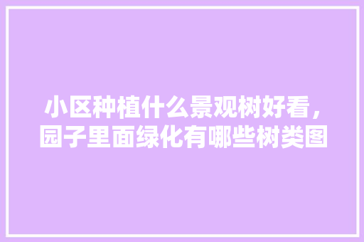小区种植什么景观树好看，园子里面绿化有哪些树类图片。
