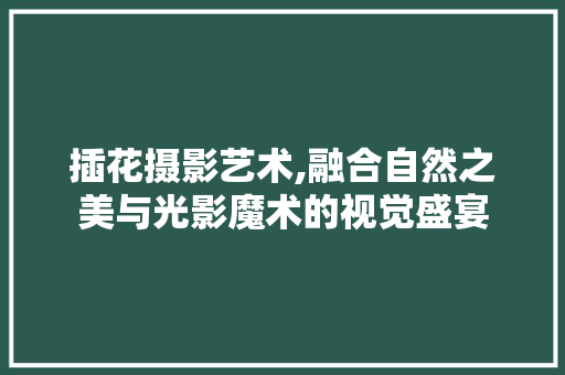 插花摄影艺术,融合自然之美与光影魔术的视觉盛宴