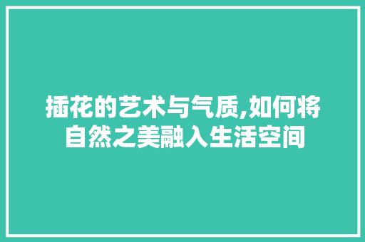 插花的艺术与气质,如何将自然之美融入生活空间