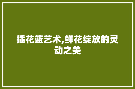 插花篮艺术,鲜花绽放的灵动之美