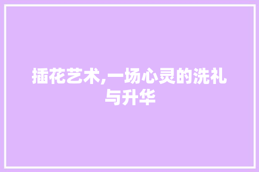 插花艺术,一场心灵的洗礼与升华