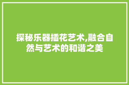 探秘乐器插花艺术,融合自然与艺术的和谐之美