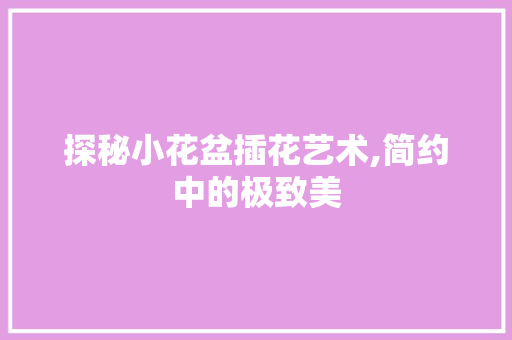 探秘小花盆插花艺术,简约中的极致美