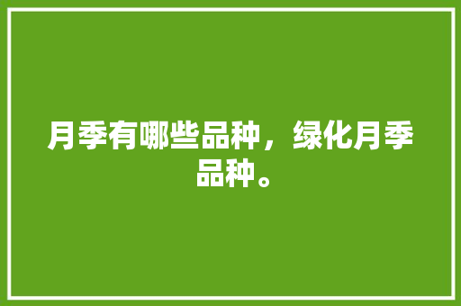 月季有哪些品种，绿化月季品种。