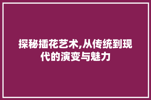 探秘插花艺术,从传统到现代的演变与魅力