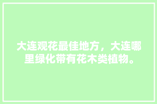 大连观花最佳地方，大连哪里绿化带有花木类植物。