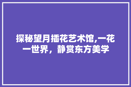 探秘望月插花艺术馆,一花一世界，静赏东方美学