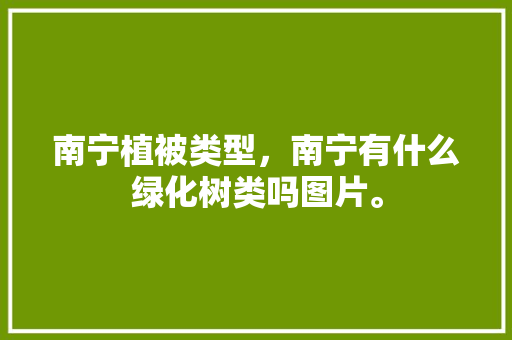 南宁植被类型，南宁有什么绿化树类吗图片。