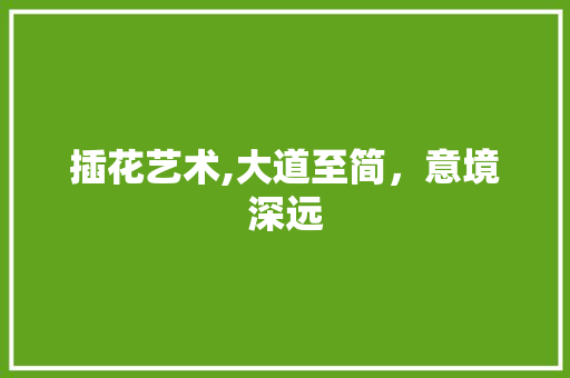 插花艺术,大道至简，意境深远