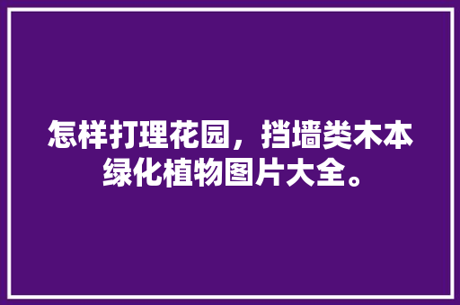 怎样打理花园，挡墙类木本绿化植物图片大全。