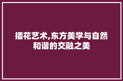 插花艺术,东方美学与自然和谐的交融之美
