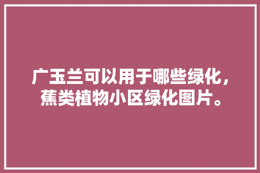 广玉兰可以用于哪些绿化，蕉类植物小区绿化图片。