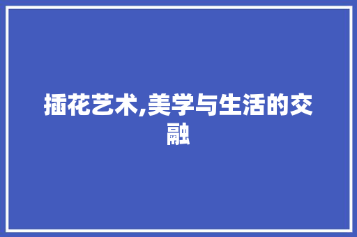 插花艺术,美学与生活的交融