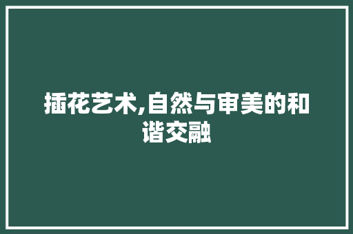 插花艺术,自然与审美的和谐交融