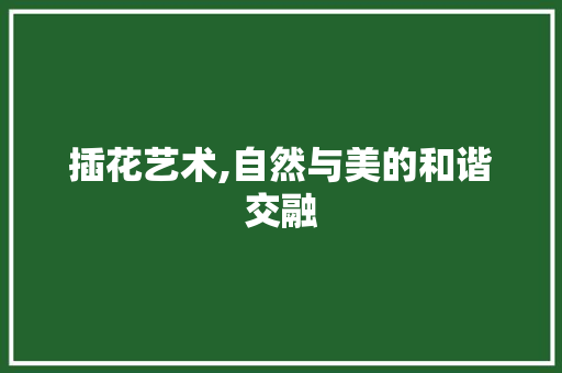 插花艺术,自然与美的和谐交融 苗木百科