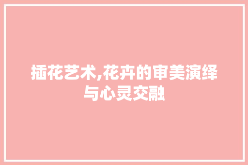 插花艺术,花卉的审美演绎与心灵交融