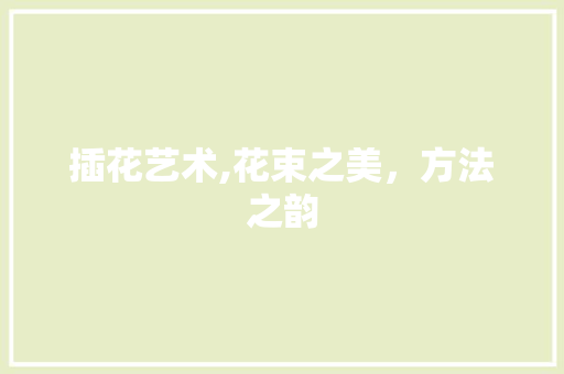 插花艺术,花束之美，方法之韵