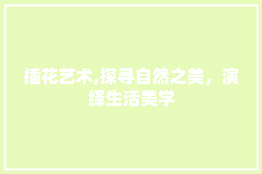 插花艺术,探寻自然之美，演绎生活美学