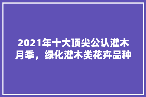 2021年十大顶尖公认灌木月季，绿化灌木类花卉品种大全图片。