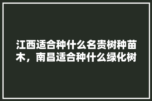 江西适合种什么名贵树种苗木，南昌适合种什么绿化树类植物。