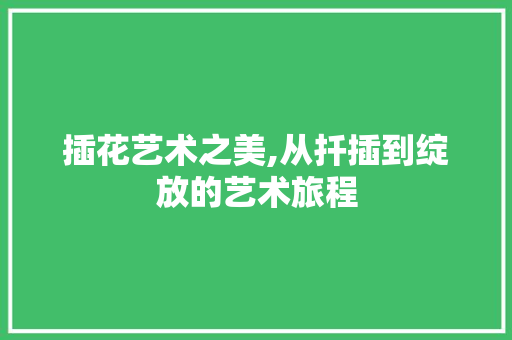 插花艺术之美,从扦插到绽放的艺术旅程