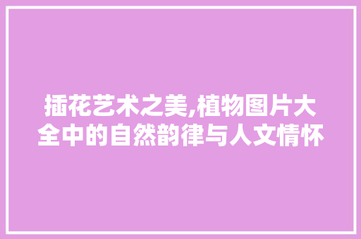 插花艺术之美,植物图片大全中的自然韵律与人文情怀