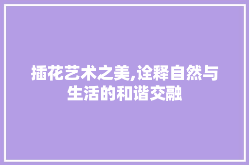 插花艺术之美,诠释自然与生活的和谐交融 种子类