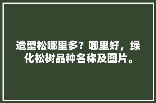 造型松哪里多？哪里好，绿化松树品种名称及图片。
