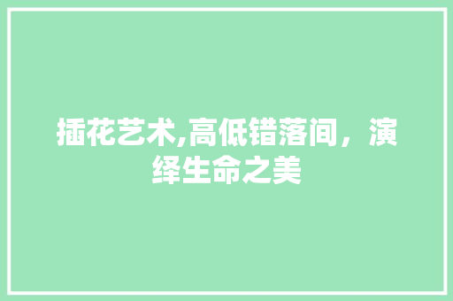 插花艺术,高低错落间，演绎生命之美 种植技术