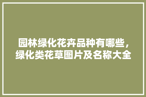 园林绿化花卉品种有哪些，绿化类花草图片及名称大全。