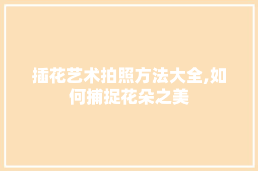 插花艺术拍照方法大全,如何捕捉花朵之美