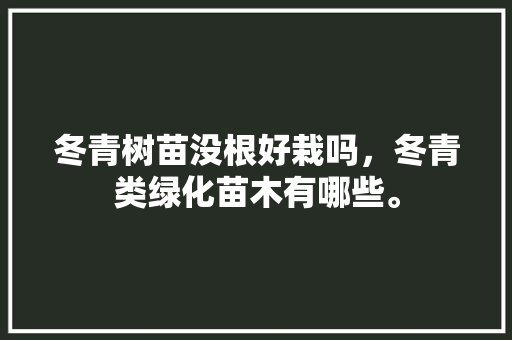 冬青树苗没根好栽吗，冬青类绿化苗木有哪些。  第1张 冬青树苗没根好栽吗，冬青类绿化苗木有哪些。 花卉百科