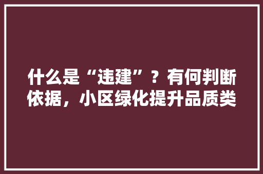 什么是“违建”？有何判断依据，小区绿化提升品质类文书怎么写。  第1张 什么是“违建”？有何判断依据，小区绿化提升品质类文书怎么写。 种子类
