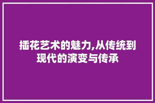 插花艺术的魅力,从传统到现代的演变与传承 造型技术