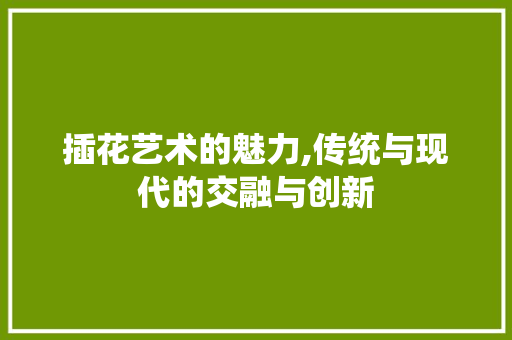 插花艺术的魅力,传统与现代的交融与创新